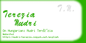 terezia mudri business card